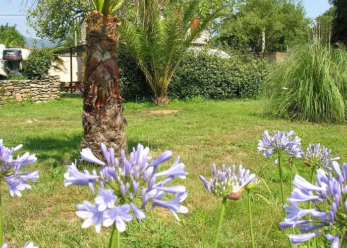 Feriehus In Moriani-plage Near Sandy San-Nicolao